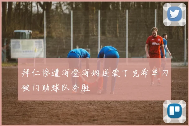 拜仁惨遭海登海姆逆袭丁克希单刀破门助球队夺胜